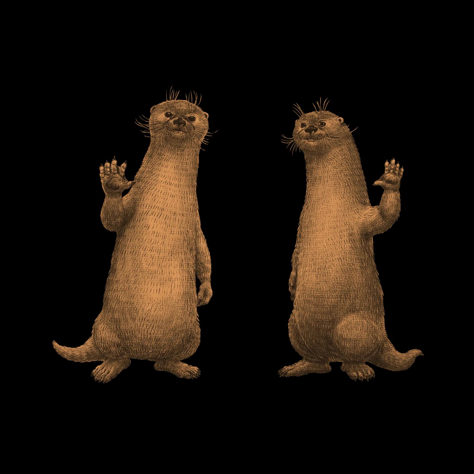 Biscuit and Breezy, the otters, waving